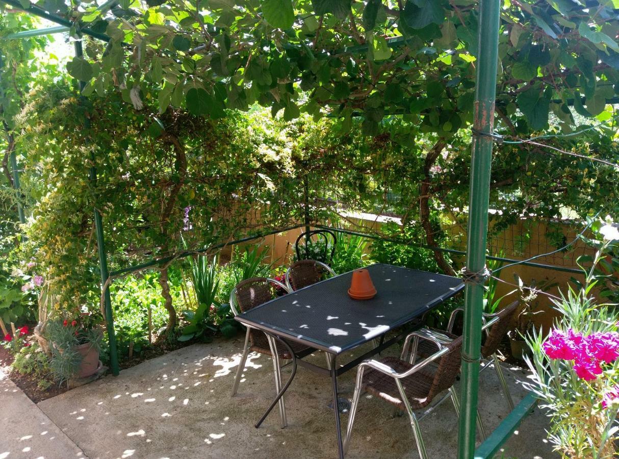 Vila Milla Premantura Εξωτερικό φωτογραφία